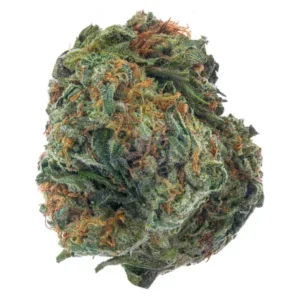 Sherbert (Hybrid)
