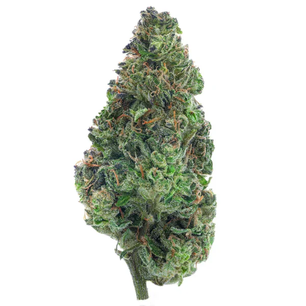 Green Crack (Sativa)
