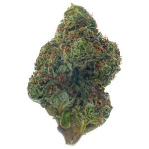 Dosidos (Hybrid)