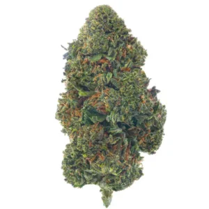 Purple Kush (Indica)